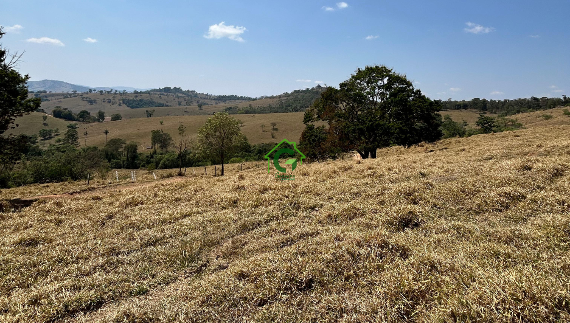 SÍTIO A VENDA – SANTA RITA DE CALDAS/MG