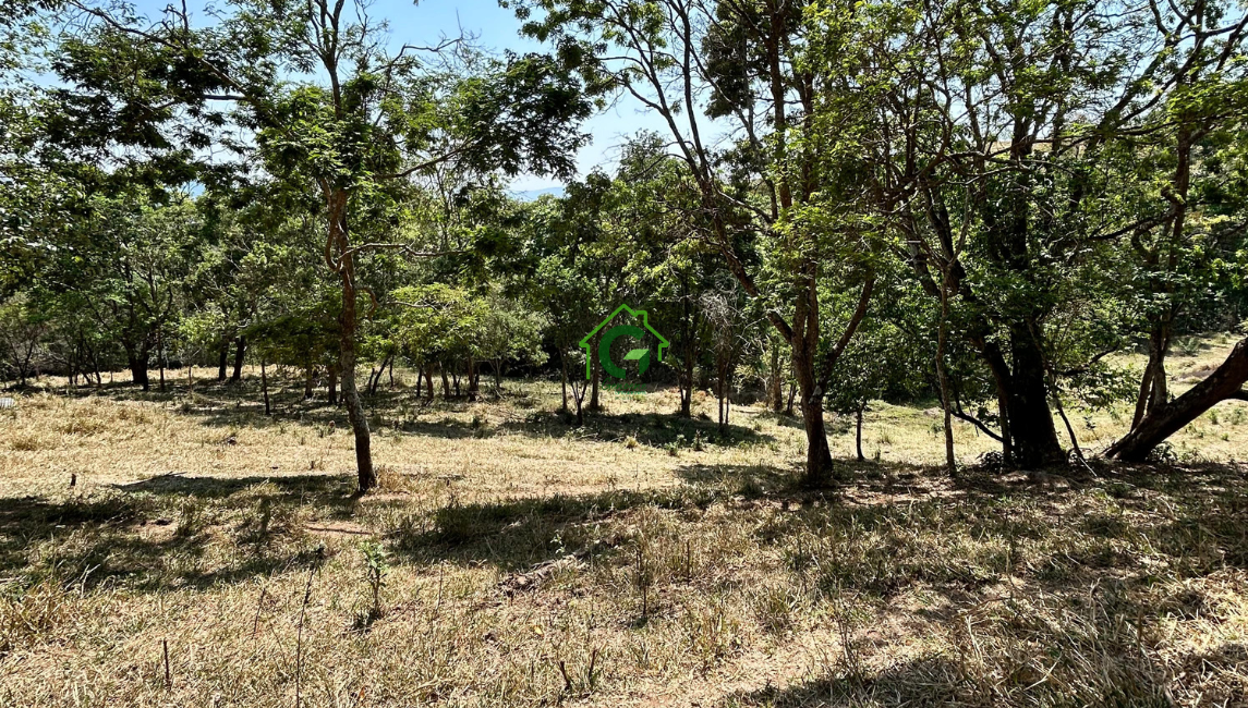 SÍTIO A VENDA – SANTA RITA DE CALDAS/MG